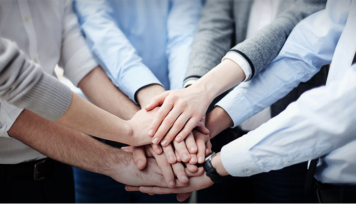 專(zhuān)業(yè)團(tuán)隊(duì)